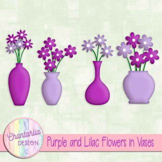 Free purple and lilac flowers in vases