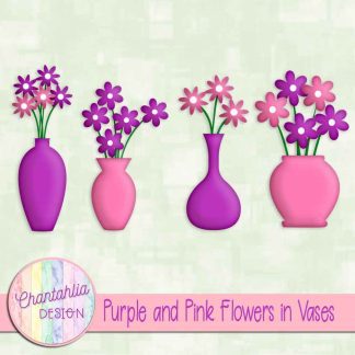 Free purple and pink flowers in vases