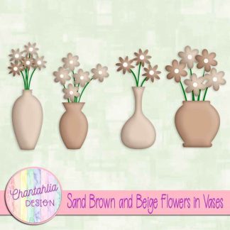 Free sand brown and beige flowers in vases