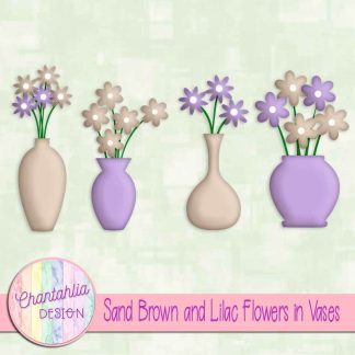 Free sand brown and lilac flowers in vases