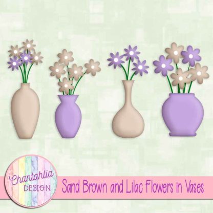 Free sand brown and lilac flowers in vases