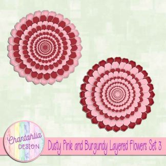 Free dusty pink and burgundy layered flowers