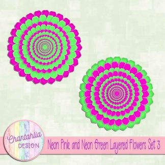 Free neon pink and neon green layered flowers