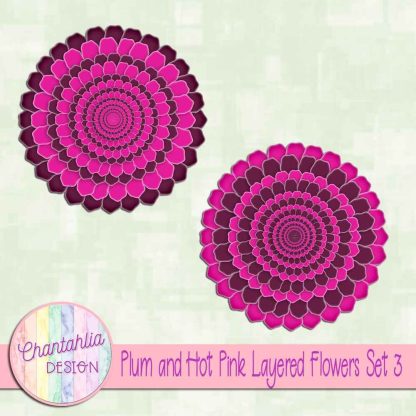 Free plum and hot pink layered flowers