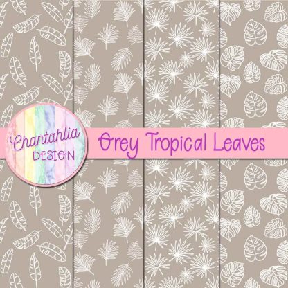 Free grey tropical leaves digital papers