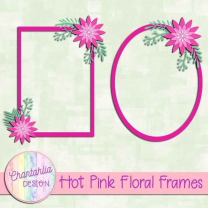 Free hot pink floral frames