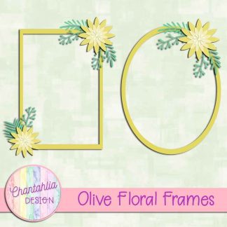 Free olive floral frames
