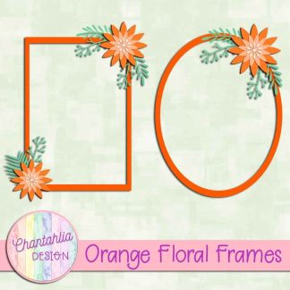 Free orange floral frames