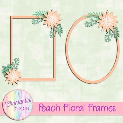 Free peach floral frames