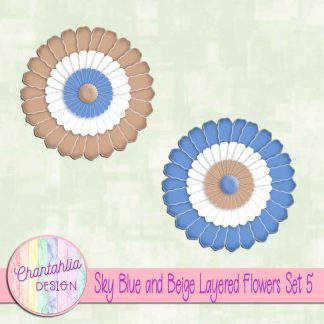 Free sky blue and beige layered paper flowers set 5