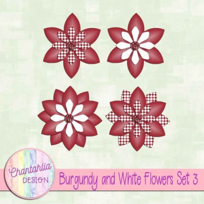 Free burgundy and white flowers