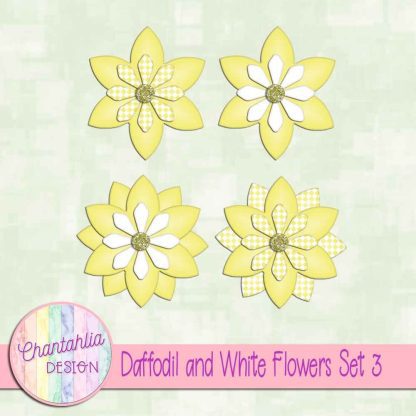 Free daffodil and white flowers