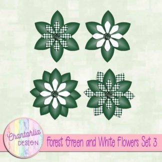 Free forest green and white flowers