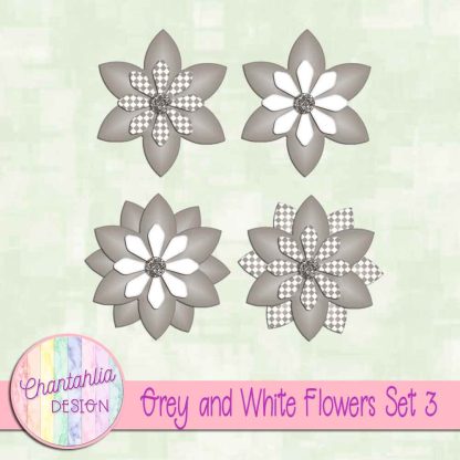 Free grey and white flowers