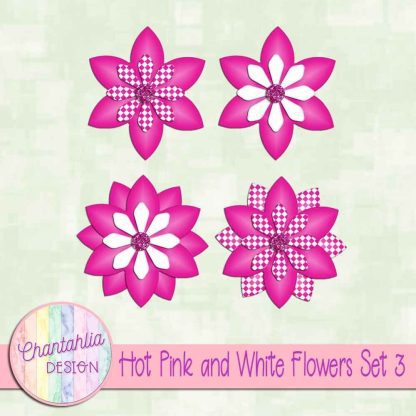Free hot pink and white flowers