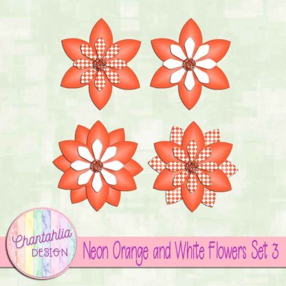 Free neon orange and white flowers