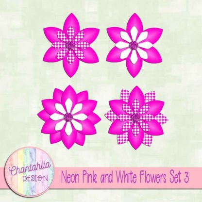Free neon pink and white flowers