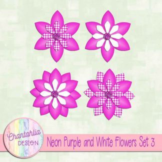 Free neon purple and white flowers