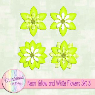 Free neon yellow and white flowers