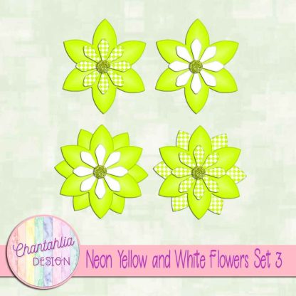 Free neon yellow and white flowers