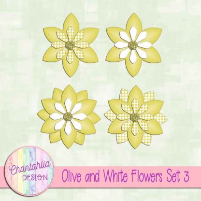 Free olive and white flowers