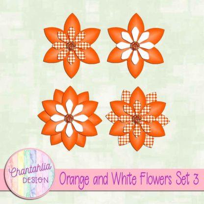 Free orange and white flowers