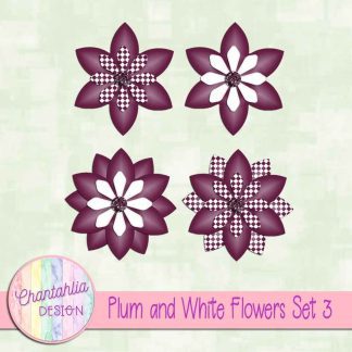 Free plum and white flowers