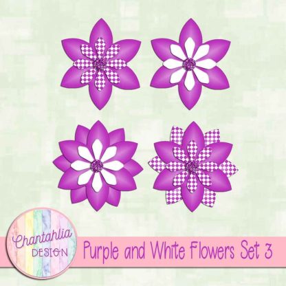 Free purple and white flowers