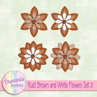 Free rust brown and white flowers
