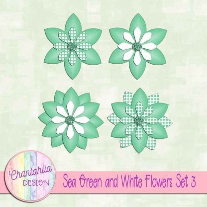 Free sea green and white flowers