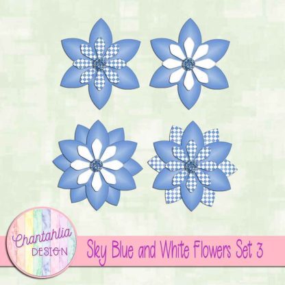 Free sky blue and white flowers