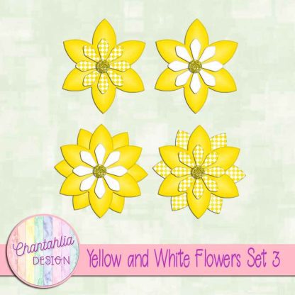 Free yellow and white flowers