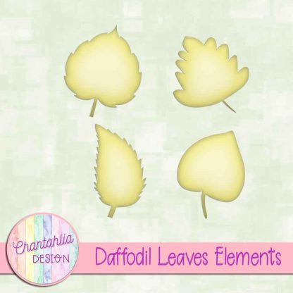 Free daffodil leaves design elements