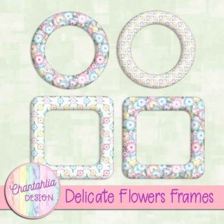 Free frames in a Delicate Flowers theme.