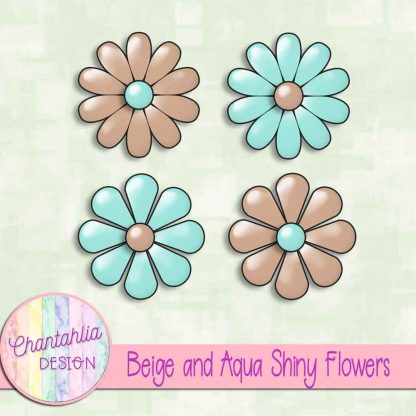 Free beige and aqua shiny flowers