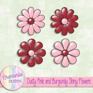 Free dusty pink and burgundy shiny flowers