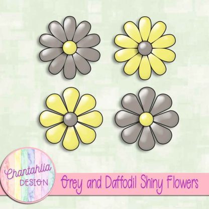 Free grey and daffodil shiny flowers