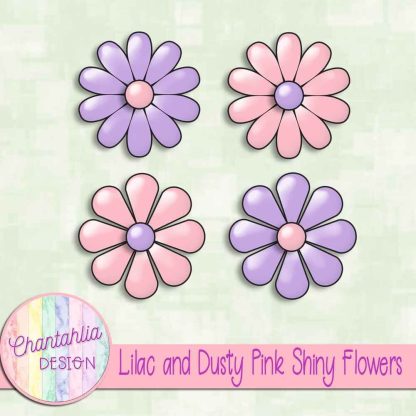 Free lilac and dusty pink shiny flowers