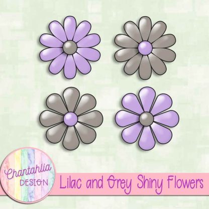 Free lilac and grey shiny flowers