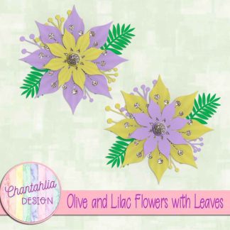 Free olive and lilac flowers with leaves