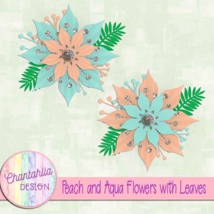 Free peach and aqua flowers with leaves