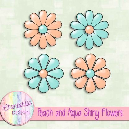 Free peach and aqua shiny flowers