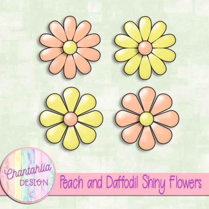 Free peach and daffodil shiny flowers