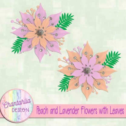 Free peach and lavender flowers with leaves