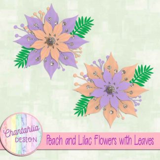 Free peach and lilac flowers with leaves