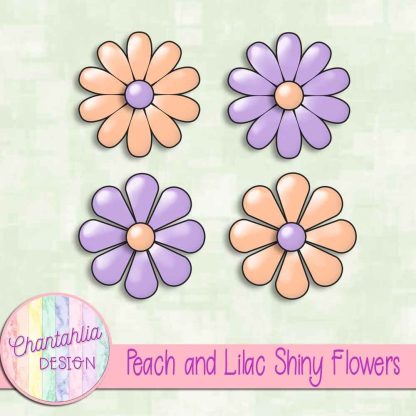 Free peach and lilac shiny flowers