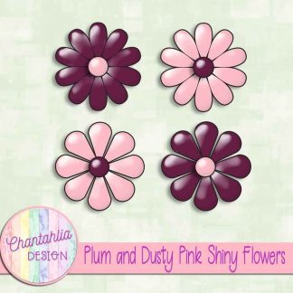Free plum and dusty pink shiny flowers