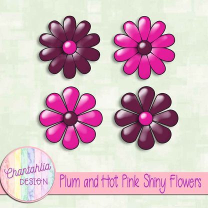 Free plum and hot pink shiny flowers