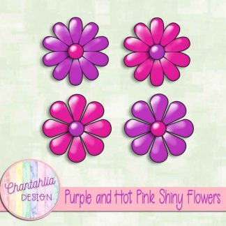 Free purple and hot pink shiny flowers