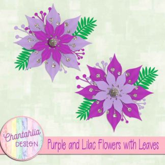 Free purple and lilac flowers with leaves